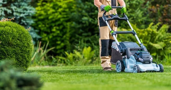Lawn Care / Landscaping Maintenance Services in Bothell, WA