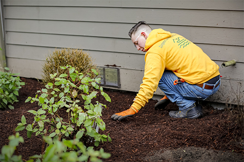 Planting, Mulching & Gravel Installation Services in Snohomish County, WA