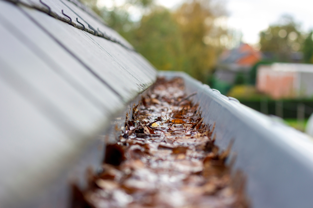 Gutter Clean-Up & Outdoor Drainage Service Duvall, WA