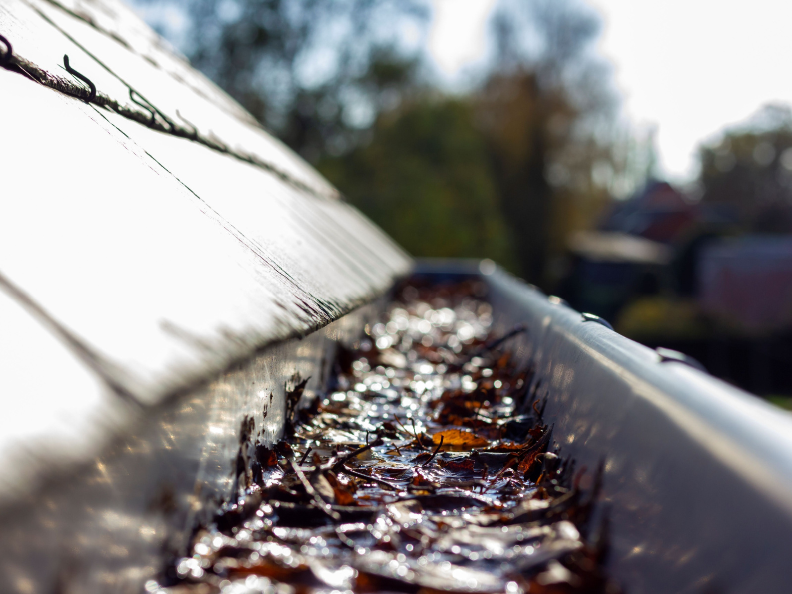 Enjoy All the Benefits of Professional Gutter Cleanup Services in Arlington