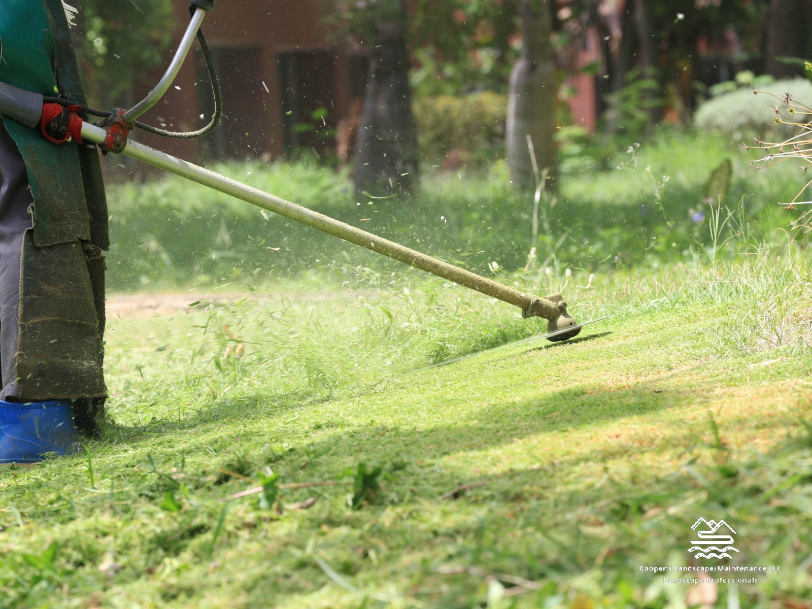Start Planning Your Lawn Care and Maintenance for Spring