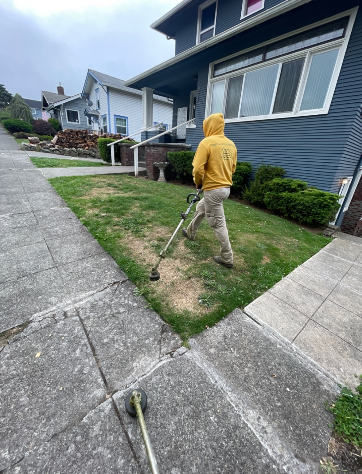 Artificial Turf in Mill Creek for Year-Round Greenery